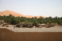 /album/foto-gallerie/img-0109-jpg/