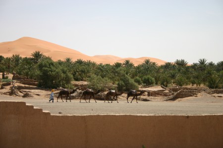 zandduinen Erg Chebbi